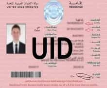 uid number on uae resident visa