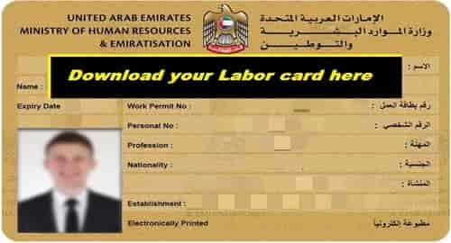 uae-labour-card-specimen